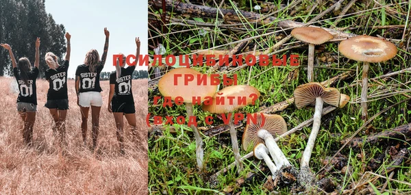 кокс Щёлкино