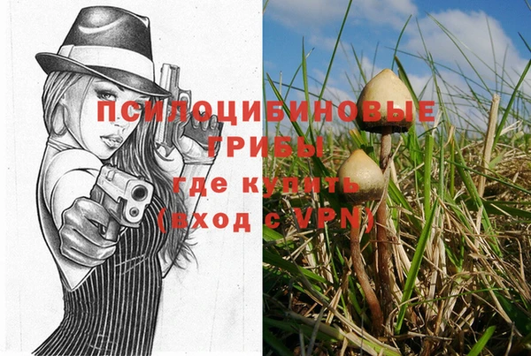 тгк Иннополис