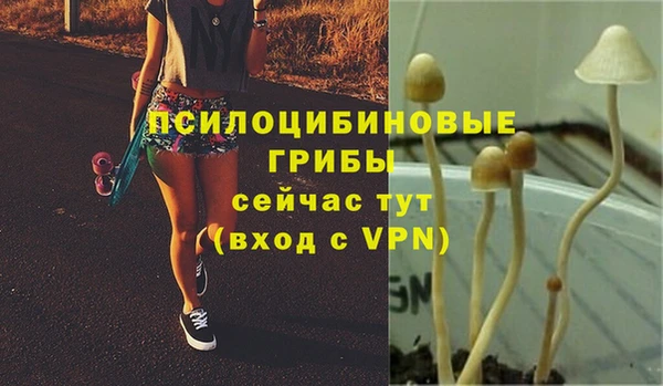 мдма Инта