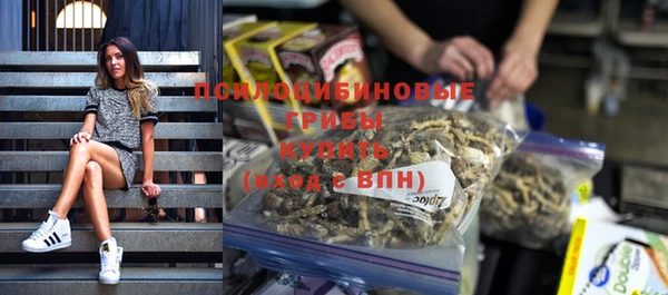 мдма Инта