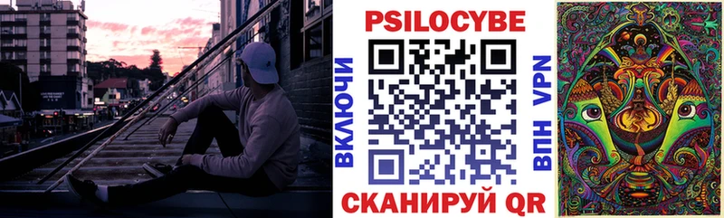 Купить  Междуреченск  Галлюциногенные грибы Psilocybe 